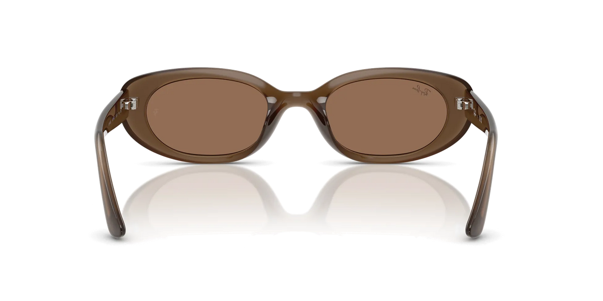 Ray-Ban RB4441D Güneş Gözlüğü 677973 Opal Brown Dark Brown 53 Ekartman
