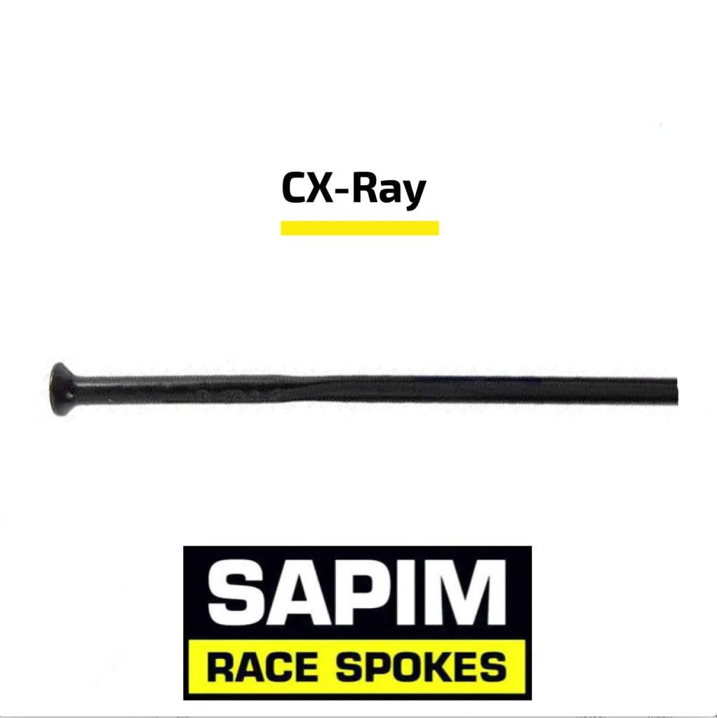 Sapim CX Ray SP Jant Teli Straight Pull Düz Başlı 276mm Siyah - Görsel 13