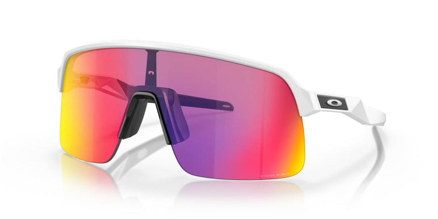 Oakley Factory Pilot Lite Şort FOA405050 6LE Team Navy