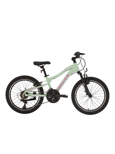 Bisan KDX 2500 20 Jant Çocuk Bisikleti 2026 - Görsel 3
