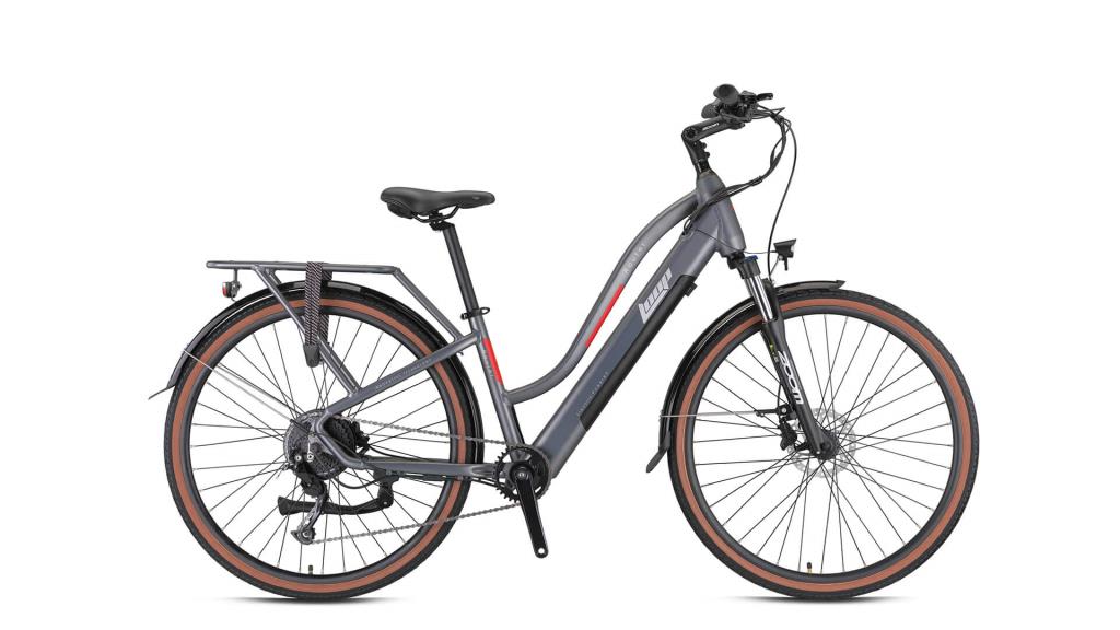 Loop Router Lady Electric City Bike 2025 Model
