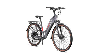 Loop Router Lady Electric City Bike 2025 Model