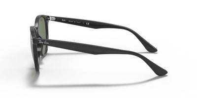 Ray-Ban RB4305 Sunglasses 601/71 53 Ekartman Black Dark Green