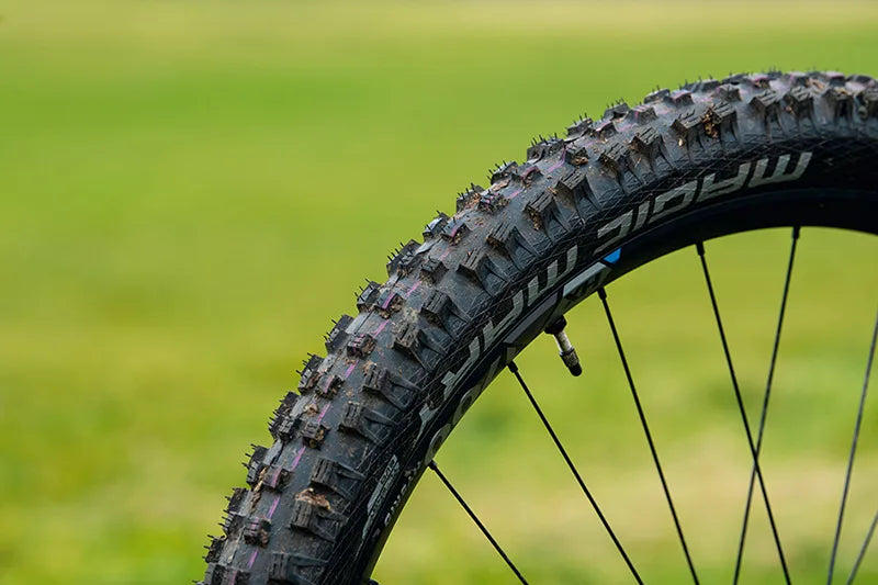 Schwalbe Magic Mary Performance DD TLE 29x2.40 ADDIX Tubeless Easy Dış Lastik 11654527 E-50