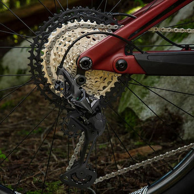 Shimano Deore XT RD-M8100-SGS Arka Aktarıcı 12 Vites Uzun Bacak - Görsel 4