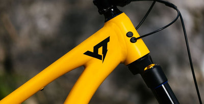 YT Capra 29 CORE 3 AL Enduro Dağ Bisikleti 2026 - Görsel 11